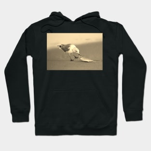 Heavy Fish Hoodie